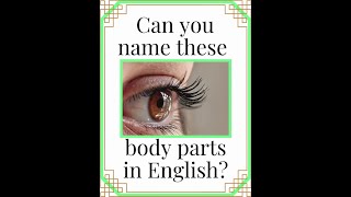 Name these body parts in English! - Vocabulary 🦶🏽 #shorts #ytshortsvideo