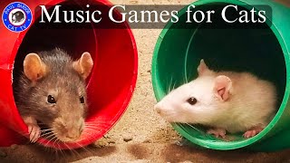 Cat TV | Games Mouse hide & seek - Paul | Cat Loves Games Music Piano Jazz - Paul Bardor