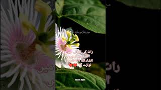 ِانشاءلله ۔۔#viralvideo #viralshorts #viralreels #shorts #shortsvideo #shortsfeed #islamicvideo