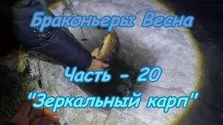 Браконьеры. Весна. Часть - 20 "Зеркальный карп".