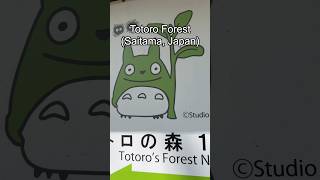 Totoro Forest in Saitama, Japan! #totoro #ghibli #studioghibli #anime #japantravel #japan