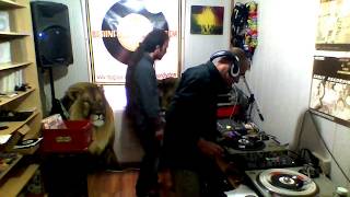 One Shot A Day 162 - Artibella Riddim