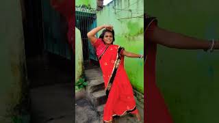 Tera Pallu Sarka Jaaye#shorts #dance #trending #youtubeshorts