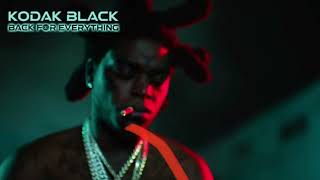 Kodak Black - Take You Back feat. Lil Durk (Slowed + Reverb)