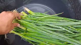 Menyimpan Daun Bawang dan Seledri Tahan Berbulan-bulan | How to Store Leek and Celery Last Longer