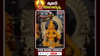 స్వామియే శరణం అయ్యప్ప.. | #ayyappaswamy #ayyappaswamytemple | @vbnhaindavadharmam