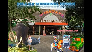 Belajar mengenal hewan || SEMARANG  ZOO || TAMAN MARGASATWA SEMARANG