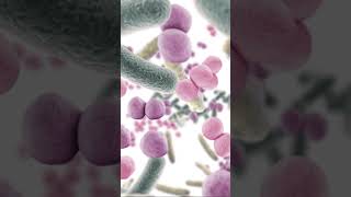 Microscopic Might: Unveiling the Microbiome #shorts