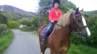 my 10 year old brother riding my 4 year old welsh cob