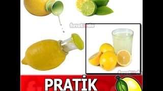 Pratik-Limon-Sıkacağı Plastik Limon Sıkacağı Toptan Limon Sıkacağı Limon Sıkacağı Fiyatı