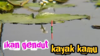 Serunya mancing nyobok di spot dangkal