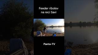 Kako uživati u Feeder ribolovu na Savi #shorts