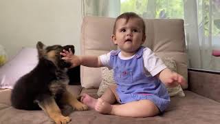 Funniest Kids Videos - The baby sees a puppy for the first time.