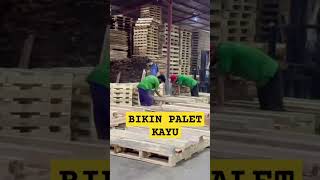 PALET KAYU#automobile #kayu #export