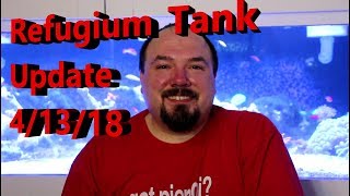 Refugium Tank Update 4/13/18