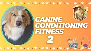 ROSE the DOG GETS FIT! CCF2 | CANINE CONDITIONING FITNESS 2 DMWYD | Rose the English Shepherd Dog