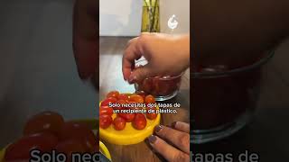 🤩 🍅 Después de ver el video de Selena y su cara, supimos que teníamos que probar este hack.