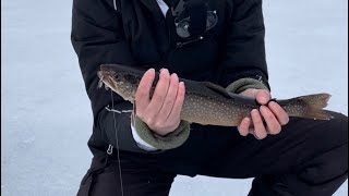 Ice fishing for splake in Maine