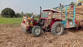 Mf 360 trubo // loaded sugarcane trolley Tractor stunts // Tractor Info