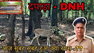 सिलवासा के दपड़ा स्थित सतमालिया हिरण पार्क से ख़बर Dnh Dapada Ka Satmaliya Deer Park Silvassa News