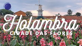 Holambra  - Cidade das flores