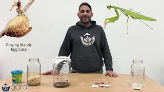 5 Predatory Bugs to Release in Your IPM Grow (Mites, Ladybugs, Nematodes, Wasps and Praying Mantis)