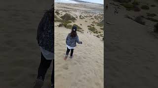 Dunas de Quilimarí 1