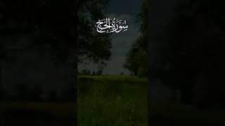 #eidmubarak #eiduladha2024 #viralshort #viralvideo #ayatoftheday