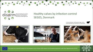 Healthy calves by infection control