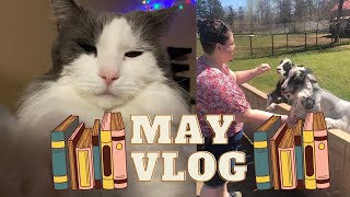 May Vlog // book Haul + zoo :)