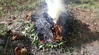 Suara Api Membakar Daun, Suara Api Bakar Sampah (Sound of Flame)