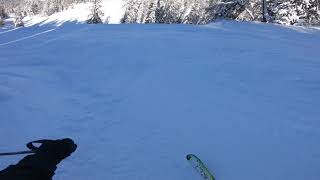 Black Slope Fail @ Madonna di Campiglio