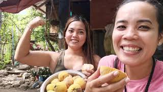 A Very Sweet Cotton Fruit or Santol, Philippines