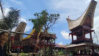 Pembagian Daging Di Ritual Rambu Solo' TORAJA. Bonoran Mantarima Tamu