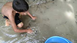 Tow fisherman fishing cat jeal fish by The Kenal