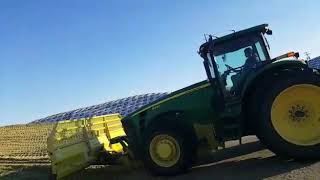 Packing  Corn  silage big  and heavy farm tractors