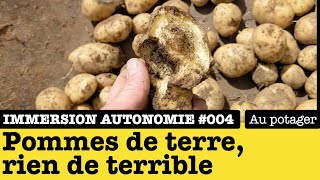 Immersion Autonomie : (trop) petite récolte des pommes de terre Bintje (juillet 2021) - partie 2/3