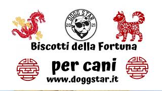 Biscotti Della Fortuna Per Cani