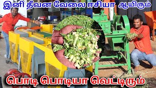 தீவன மெஷின் ராஜா | Cheapest Chaff Cutter Machine | Budget Price Different Machines | MANUFACTURING