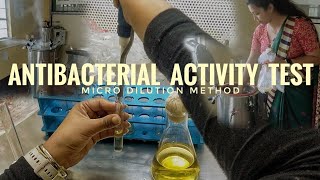 Antibacterial Activity Test Through Micro Dilution Method | Part 2 | Achinta Medhi