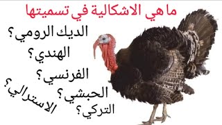 الديك المجهول ؟