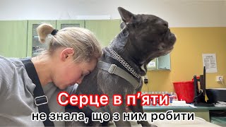 Не так я планувала свій вихідний день || Треш VLoG || 16.08.-17.08.24.