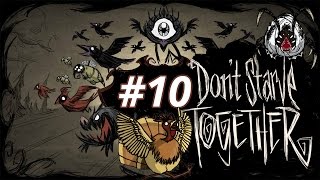 Don't Starve Together : The bload line !