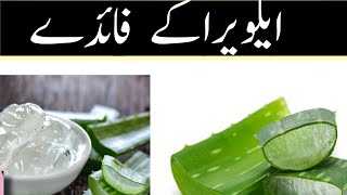 How to Use ALOVE VERA for skin ||  benefits of alove vera  || alove vera ky fidy skin k lie