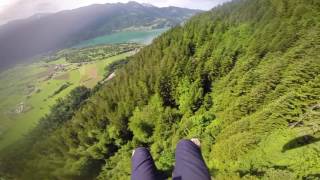 Flyby of some trees in Interlaken, Switzerland