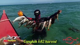 Relix nusantara cangkek 682 harvest mode sa lumang spot