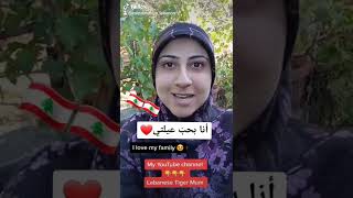 How to say in Lebanese Arabic "I love my family"#shorts #lebanesetigermum #learnlebanese