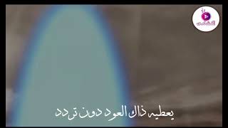 اروي لكم عن قصة المصطفى 🎧🥹