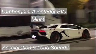 Lamborghini | Aventador SVJ V12 | Huracan V10 | Miura | Acceleration & Loud Sound!!