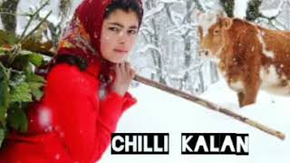 Chillai Kalan in Kashmir ||Murtaza Mushtaq